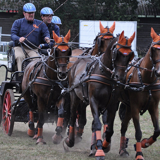 Het Geldersch Vierspan Team in Eerbeek