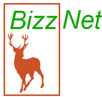 Bizznet Veluwezoom